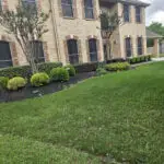 Professional Lawn Care Richmond Texas