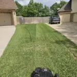 Professional Lawn Care Richmond Texas