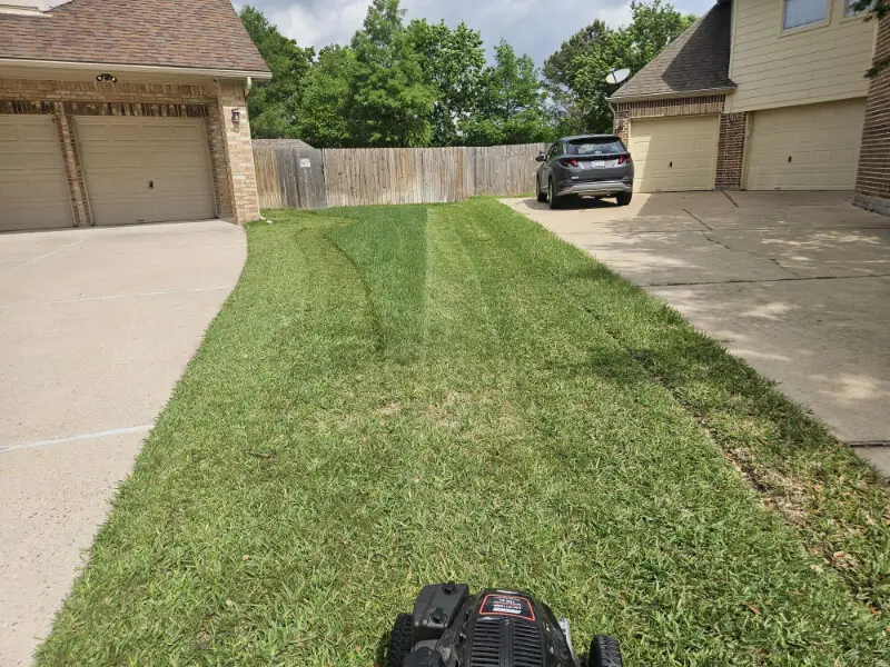 lawn care sugar land tx mowing