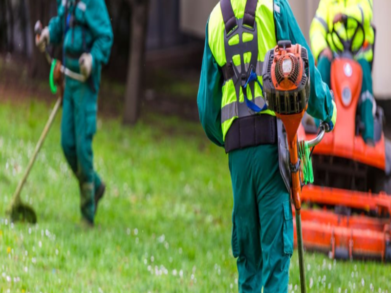 Emergency Tree Service Houston