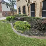 Professional Lawn Care Richmond Texas