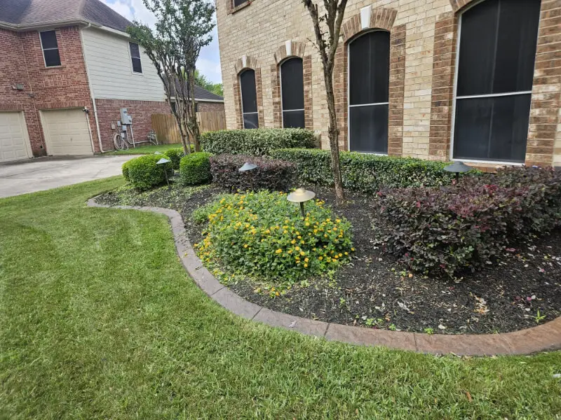 lawn edging trimming sugar land tx