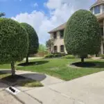 Professional Lawn Care Richmond Texas