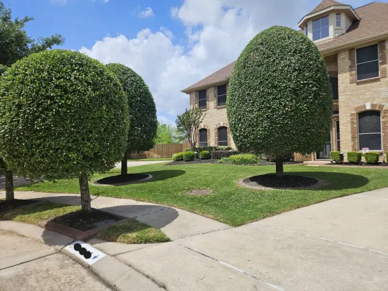 lawn care services in sugar land tx