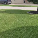 Professional Lawn Care Richmond Texas