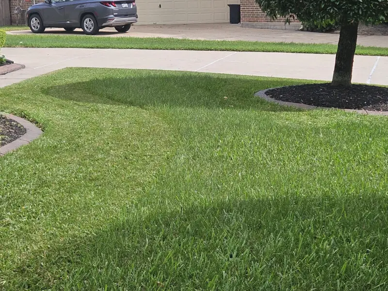 yard cleanup sugar land tx