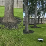 Residential lawn care project with trimmed grass in Sugar Land TX