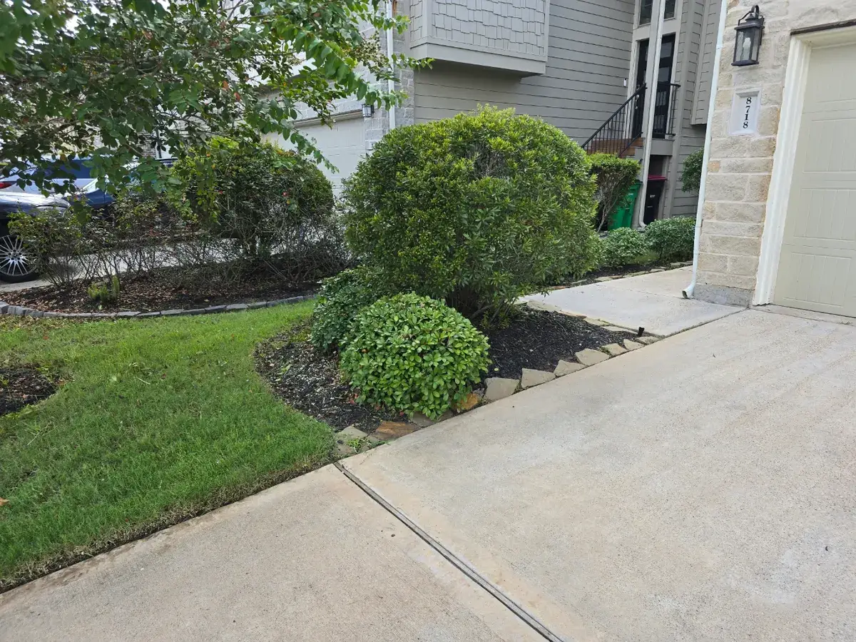 lawn care after heavy rain Houston landscape maintenance in Richmond TX