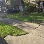 Outdoor landscaping project in Richmond and Sugar Land service area