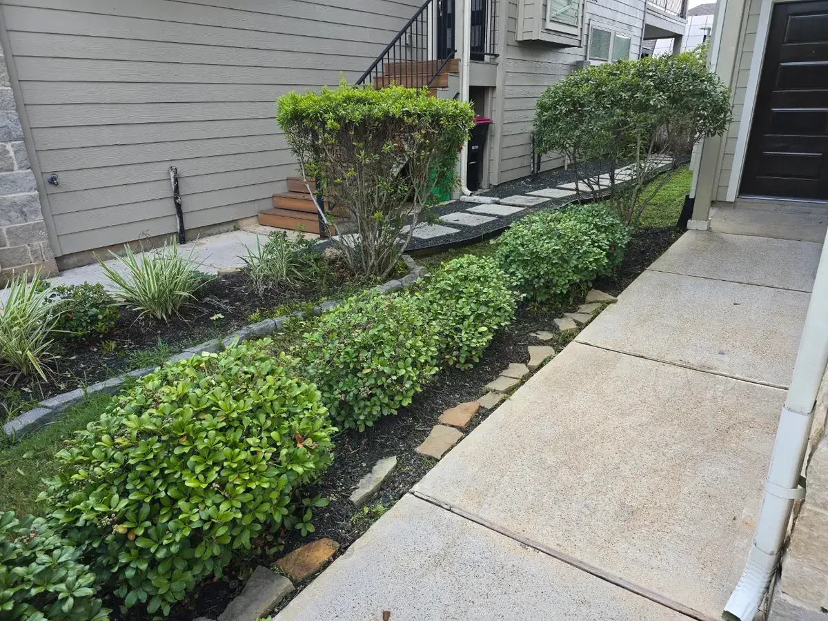 best time to trim shrubs Houston landscaping project in Sugar Land TX