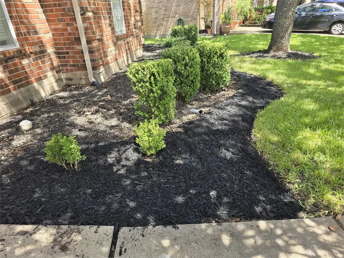 Finished residential lawn care project with clean mowing lines