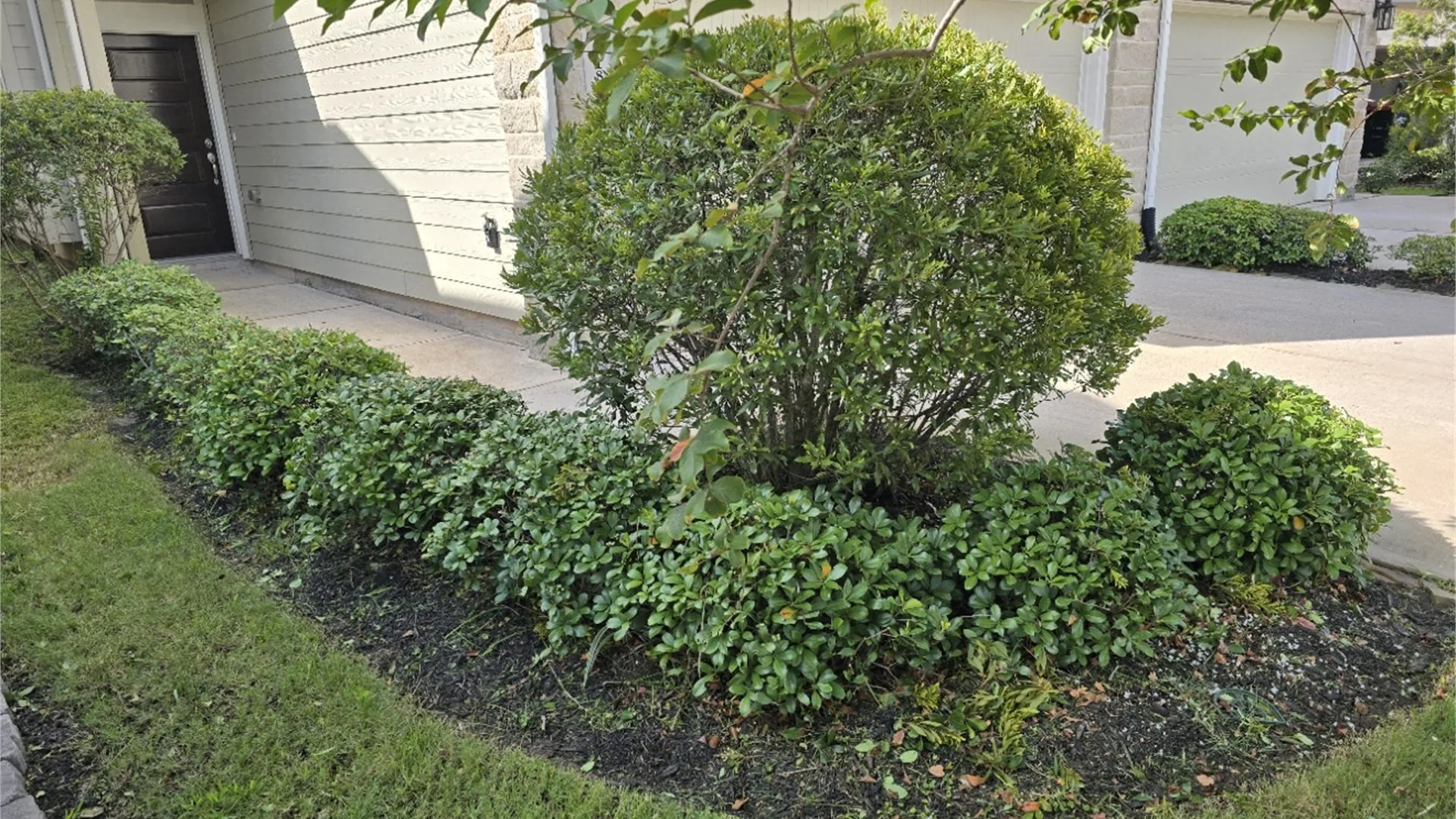 Pressure washing surface cleaning in Houston TX