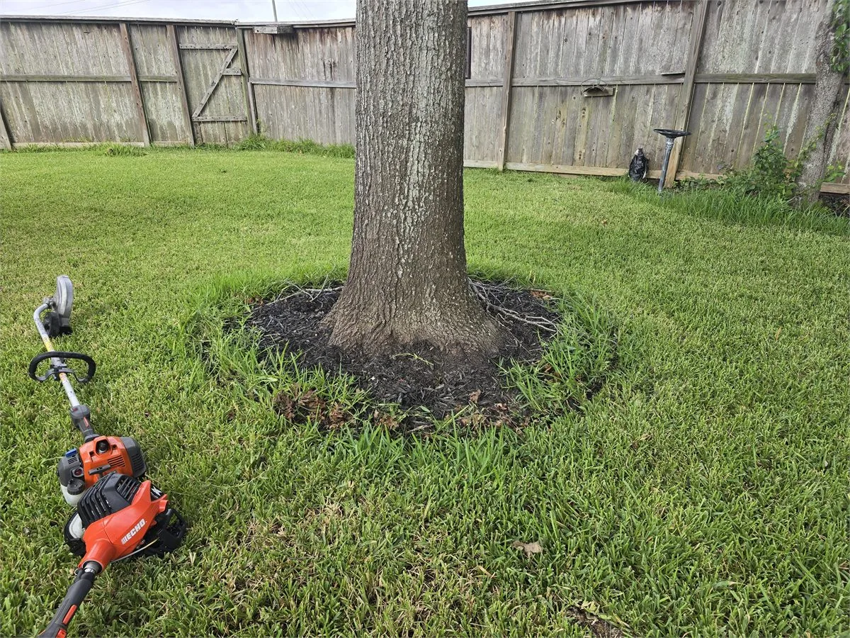 LoneGreen lawn care gallery proof photo in the Sugar Land and Richmond area