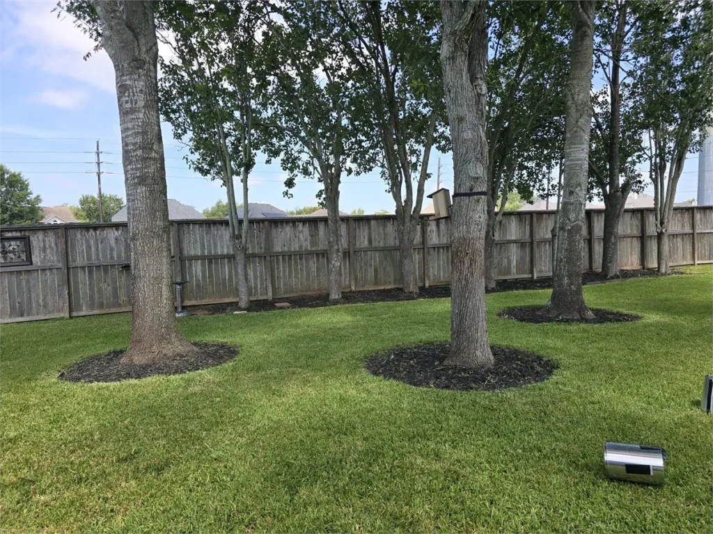 LoneGreen lawn care gallery proof photo in the Sugar Land and Richmond area