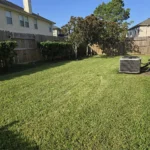 LoneGreen lawn care service page project photo in the Sugar Land and Richmond area